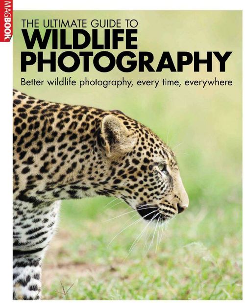Product picture The Ultimate Guide to Wildlife Photography